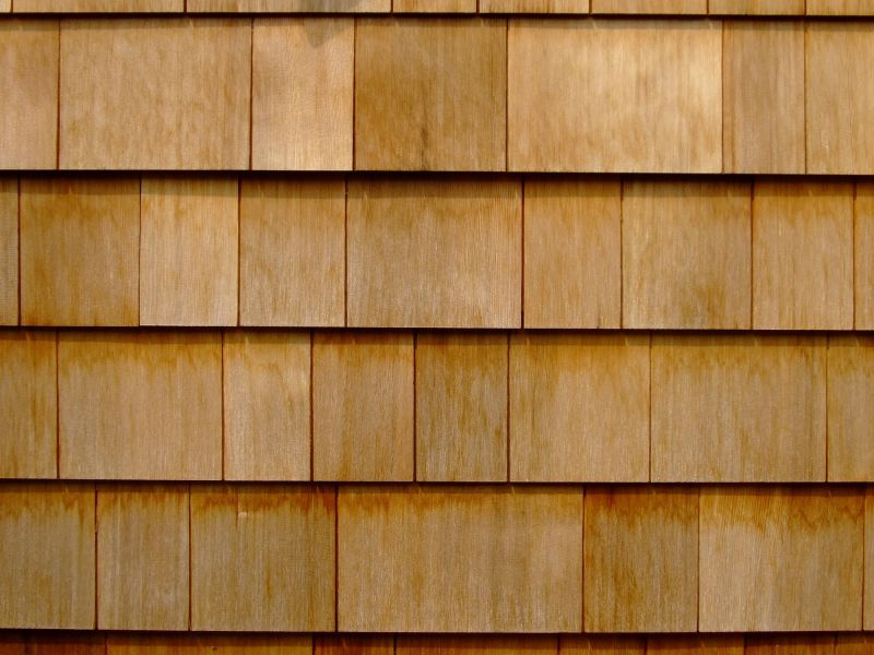 Local Siding Specialists