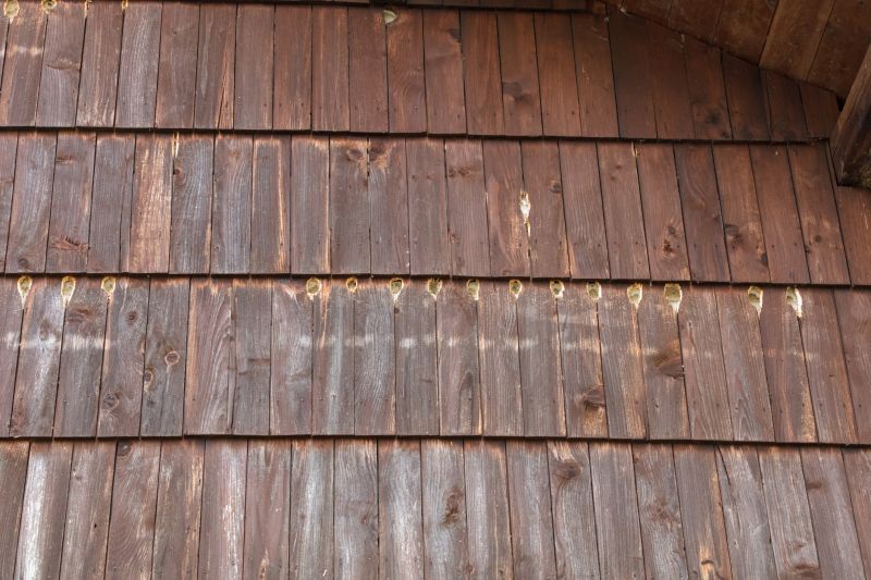 Wood Cladding Repair